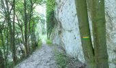 Randonnée Marche Cognin-les-Gorges - Cognin-les-Gorges - Gorges du Nan - Malleval-en-Vercors - Photo 11