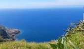 Tour Wandern Prazeres - Paul do Mar - Levada nova - Photo 10