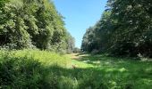 Trail Walking Beersel - RL-GG-24 - Beersel - Hennuyères - 2025-05-19 - Photo 2