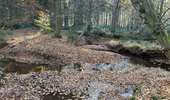 Tour Wandern Welkenrath - Welkenraedt -Eupen 24,5 km - Photo 6
