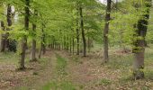 Trail Walking Sprimont - Blindef - Photo 8