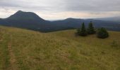 Trail Walking Orcines - Ballade au Puy de Cōme - Photo 9