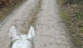 Trail Horseback riding Métairies-Saint-Quirin - rond pré tivio vispa pepito - Photo 3