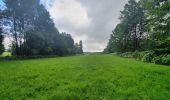 Trail Walking Habay - rando moulin d anlier 31/07/2021 - Photo 2