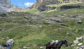 Trail Horseback riding Gavarnie-Gèdre - Gavarnie étape 4 - Photo 15
