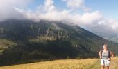 Randonnée Marche La Roche-sur-Foron - GLIERES / BORNES: LE CHESNET - SUR COU - COL DU FREU - Photo 16