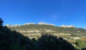 Tour Wandern Gigondas - Dentelles de Montmirail - Photo 4