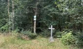Trail Walking Domfaing - Les hauts de Domfaing - Photo 5
