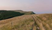 Trail Walking Bouvante - La tête de la Dame - Photo 10