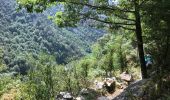 Excursión Senderismo Fanlo - Canyon d’Anisclo et village 10 km - Photo 9