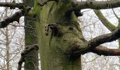 Tour Wandern Gerpinnes - L’arbre éléphant  - Photo 1