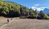 Randonnée Marche Remollon - Les Balcons de Remollon - Montagne des Assaillous - Photo 18