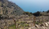 Tocht Stappen Vernazza - RA 2019 Cinque Terre Corniglia Vernazza - Photo 8