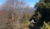 Trail Walking La Beaume - Banne depuis le col de Cabre - Photo 7