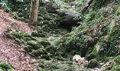 Trail Walking Biederthal - JD 15/20 Pedibus Biederthal - Photo 1