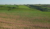 Tocht Te voet South Hams - Avon Estuary Walk - Photo 8