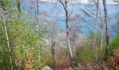 Trail On foot Cannobio - S07 Sant'Anna (Traffiume) - Pro Redond - Photo 1