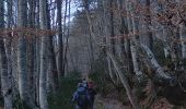 Trail Walking Braux - Rando Pieŕre qui tremble Chabrieres Peloussis Argenton  - Photo 12