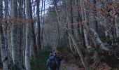 Tour Wandern Braux - Rando Pieŕre qui tremble Chabrieres Peloussis Argenton  - Photo 12