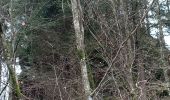 Trail Walking Baerenthal - schmalenthal, bannstein, hammerschless - Photo 11