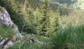 Trail Walking Glières-Val-de-Borne - BARGY: CENISE - ROCHERS DE LESCHAUX - SOLAISON - COL DE CENISE - Photo 11