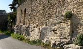 Randonnée Marche Ansouis - PF-Ansouis - Des ruelles du village à la forêt des Pâtis - DD - Photo 12