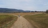 Trail Walking Osenbach - Circuit découverte Osenbah - Photo 16