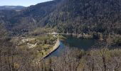 Tocht Stappen Sewen - Lac d'Alfed et sa cascade - Lac des Perches  - Lac du Newiher - Photo 8