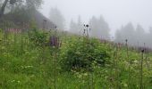 Trail Walking Praz-sur-Arly - Praz sur arly ban rouge  1050m 18.7kms  - Photo 1