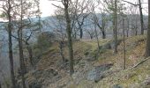 Tour Zu Fuß Schwarzburg - Naturlehrpfad Heinrich Cotta - Photo 7