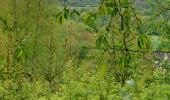 Tour Wandern Anhée - Warnant Adèle et Christophe 05-05-2024 - Photo 6