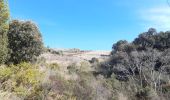 Tocht Stappen Banyuls-sur-Mer - banyuls . coll de gran bau . retour par le littoral  - Photo 15