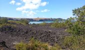 Randonnée A pied Waiheke - Rangitoto Coastal Walk - Photo 4