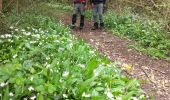 Randonnée Marche Vénérand - venerand - Photo 4