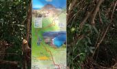 Trail Walking Le Diamant - Morne Larcher - Photo 1