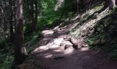 Tocht Stappen Chamonix-Mont-Blanc - 20200714 Cascade du Dard - Photo 2