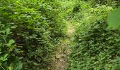 Tocht Stappen Soisy-sur-École - Soizy-sur-Ecole - La Padole - Photo 16