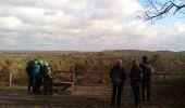 Randonnée Marche Fontainebleau - Un merle sur son mont - Photo 3