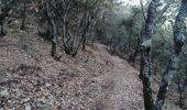 Trail Walking Les Mées - LES MÉES. CHEMIN DES OLIVIERS. S APOLLINAIRE  N - Photo 5