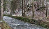 Tour Zu Fuß Steinbach am Wald - Buchbacher-Weg - Photo 7