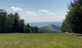 Excursión Bici de montaña Le Ménil - Frère Joseph  - Photo 1