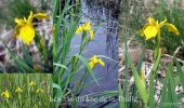 Tour Wandern La Thuile - Lac de la Thuile-2022-G1 - Photo 6