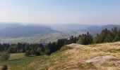 Tour Wandern Sapois - Le haut du tot - Photo 18