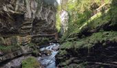 Tocht Stappen Oberstdorf - Breitachklamm  - Photo 18