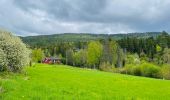 Trail On foot Unknown - Kjerratstien - Photo 1