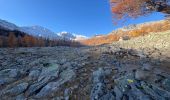 Trail Walking Saint-Dalmas-le-Selvage - Tête de la Clape - Photo 1