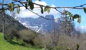 Trail Walking Gresse-en-Vercors - Le tour du palais - Photo 13