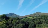 Excursión Senderismo Itxassou - Itxassou (pas de Roland) - Photo 18