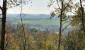 Tocht Stappen La Louvière - Saint-Vaast / Terrils / 2020-11-03 / 15 km - Photo 13