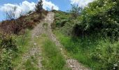 Randonnée Marche Alzon - vers le St guiral puis le rocher de l'aigle - Photo 3